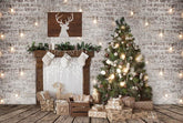 Chirstmas Photogray Backdrop G-1242 Shopbackdrop